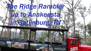 Taking the Ridge Rambler Up to Anakeesta in Gatlinburg TN [upl. by Elraet]