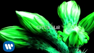 Fangoria  Espectacular Lyric Video [upl. by Nwahsram]