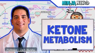 Metabolism  Ketone Metabolism [upl. by Baron478]