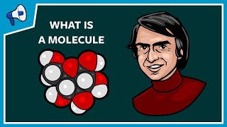 What Is a Molecule [upl. by Sharon598]