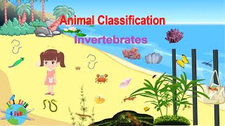 Invertebrate Animals  Educational Video Classification of Invertebrates [upl. by Ethbin]