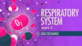 Immune System Part 3 Crash Course Anatomy amp Physiology 47 [upl. by Letitia]