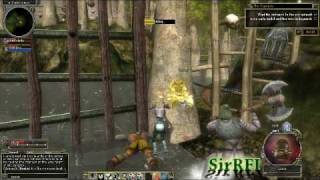 Dungeons amp Dragons Online DDO gameplay [upl. by Enyaj640]