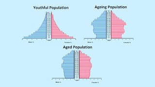 How to Read a Population Pyramid [upl. by Annert]