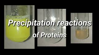 Precipitation Reactions of Proteins  Biochemistry [upl. by Annasiul]