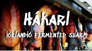 Hákarl  Icelands National Dish of Fermented Shark [upl. by Goodwin638]