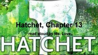 Hatchet by Gary Paulsen Chapter 13 [upl. by Ecirad230]