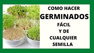 COMO HACER GERMINADOS FÁCIL Y DE CUALQUIER SEMILLA BROTES [upl. by Meerek798]