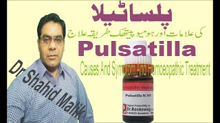 Pulsatilla پلساٹیلا Causes And Homoeopathic Treatment [upl. by Turne]