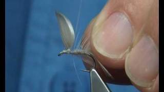 Tying a Blue Dun Dry Fly by Davie McPhail [upl. by Ardnaz896]