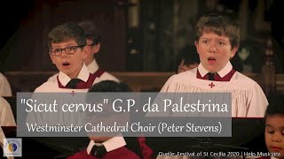 Palestrina quotSicut cervusquot  Westminster Cathedral Choir Peter Stevens  Help Musicians UK [upl. by Calesta]