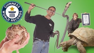 Largest Reptile Zoo  Guinness World Records [upl. by Akinar]