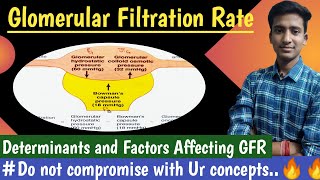 Glomerular Filtration Rate Factors Affecting GFR  Renal Physiology Hindi  Ashish Agrawal [upl. by Eladnar]