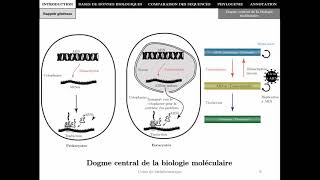 Bioinformatique  Chapitre 1  Introduction  Master Biotechnologie Alimentaire 2021 [upl. by Sinnelg69]