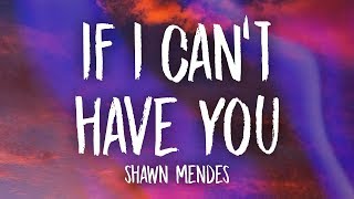 Shawn Mendes  If I Cant Have You Lyrics [upl. by Leaffar806]