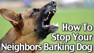 How To Stop Your Neighbor’s Dog From Barking  Short Version [upl. by Mattah600]