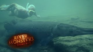 Swimming With Lethal Alligator Gars  ALLIGATOR GAR  River Monsters [upl. by Zarger]