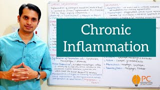 Inflammation Part 4 Pathophysiology of Chronic Inflammation [upl. by Ahsataj147]