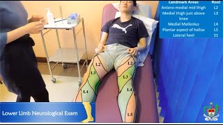 Mayo Medics Lower Limb Neurological Exam [upl. by Sirtaeb]