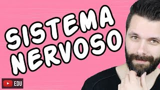 SISTEMA NERVOSO  FISIOLOGIA  Aula  Biologia com Samuel Cunha [upl. by Gwenni209]