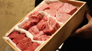 Japanese Wagyu amp Horumon Yakiniku Restaurant Experience [upl. by Wernher]