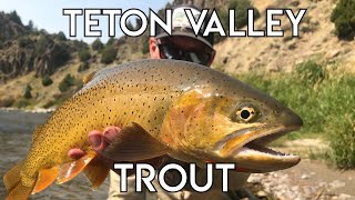 Teton Valley Trout  Ultimate Idaho Fly Fishing [upl. by Nawj]