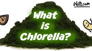 Health Benefits of Chlorella  Easy to Use Superfood [upl. by Mixie719]