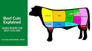 Understanding Beef Cuts [upl. by Campman982]