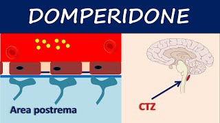 Domperidone  How it acts as an antiemetic [upl. by Scevo797]