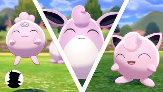 【Pokemon Camp】Igglybuff・Jigglypuff・Wigglytuff＆Shiny Cute Song [upl. by Neffirg442]