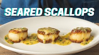 SEARED SCALLOPS WITH SCAMPI RECIPE Best Way to Cook Scallops [upl. by Yknarf]