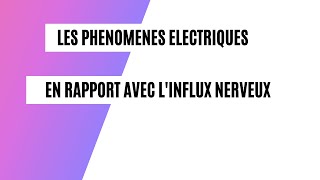 Partie 2  Les phénomènes électriques en rapport avec linflux nerveux [upl. by Davide712]