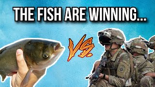 Why the US Army is at war with a fish [upl. by Adnalra]