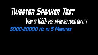 Tweeter Speaker Test [upl. by Behl]