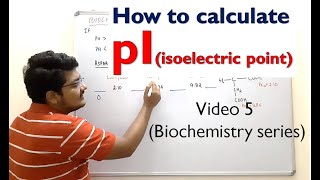 5 How to calculate pI from 3 pKa Values  Amino Acids  Biochemistry [upl. by Parish]