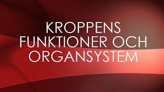 Människokroppen  organsystem [upl. by Leilamag]