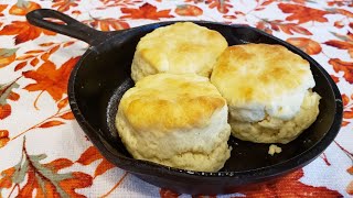 2 Ingredient Biscuits  The Hillbilly Kitchen [upl. by Matronna]