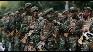 DESFILE MILITAR DO DIA DE PORTUGAL 2019 [upl. by Oicam108]