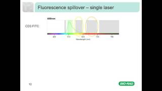 Fluorescence and Compensation in Flow Cytometry [upl. by Aeikan]