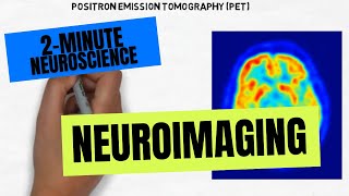 2Minute Neuroscience Neuroimaging [upl. by Conny]