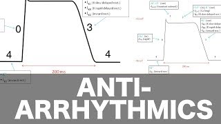 Antiarrhythmic Pharmacology [upl. by Nnateragram840]