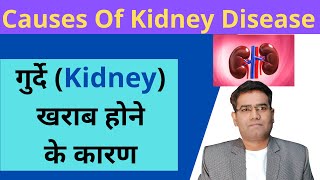 What are The Causes of Kidney Failure Explained in Hindi  Kidney Kharab Hone ka Karan [upl. by Ahgem]