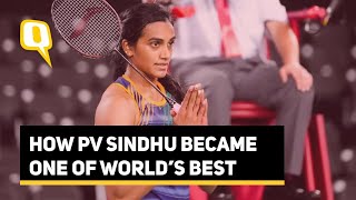 PV Sindhu’s Meteoric Rise in World Badminton [upl. by Luehrmann408]