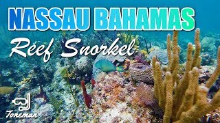 Stunning Reef Snorkel in Nassau Bahamas  UNDER THE SEA [upl. by Marietta]