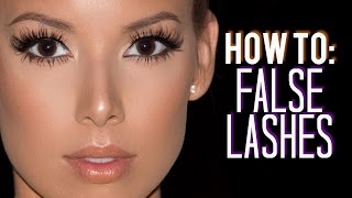 How I Customize Trim amp Apply False Lashes  LustreLux [upl. by Loggia]