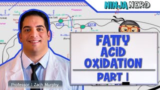 Metabolism  Fatty Acid Oxidation Part 1 [upl. by Darrick847]