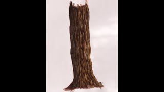 how to paint a tree trunk in acrylics [upl. by Nnylyma]