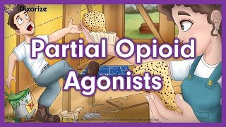 Partial Opioid Agonists Mnemonic for USMLE [upl. by Marnie270]