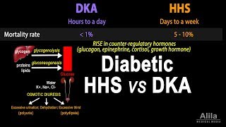 Hyperosmolar Hyperglycemic State Diabetic HHS vs DKA Animation [upl. by Jessamyn522]