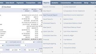 NetSuite  Financial Reports Overview [upl. by Aerdnas]